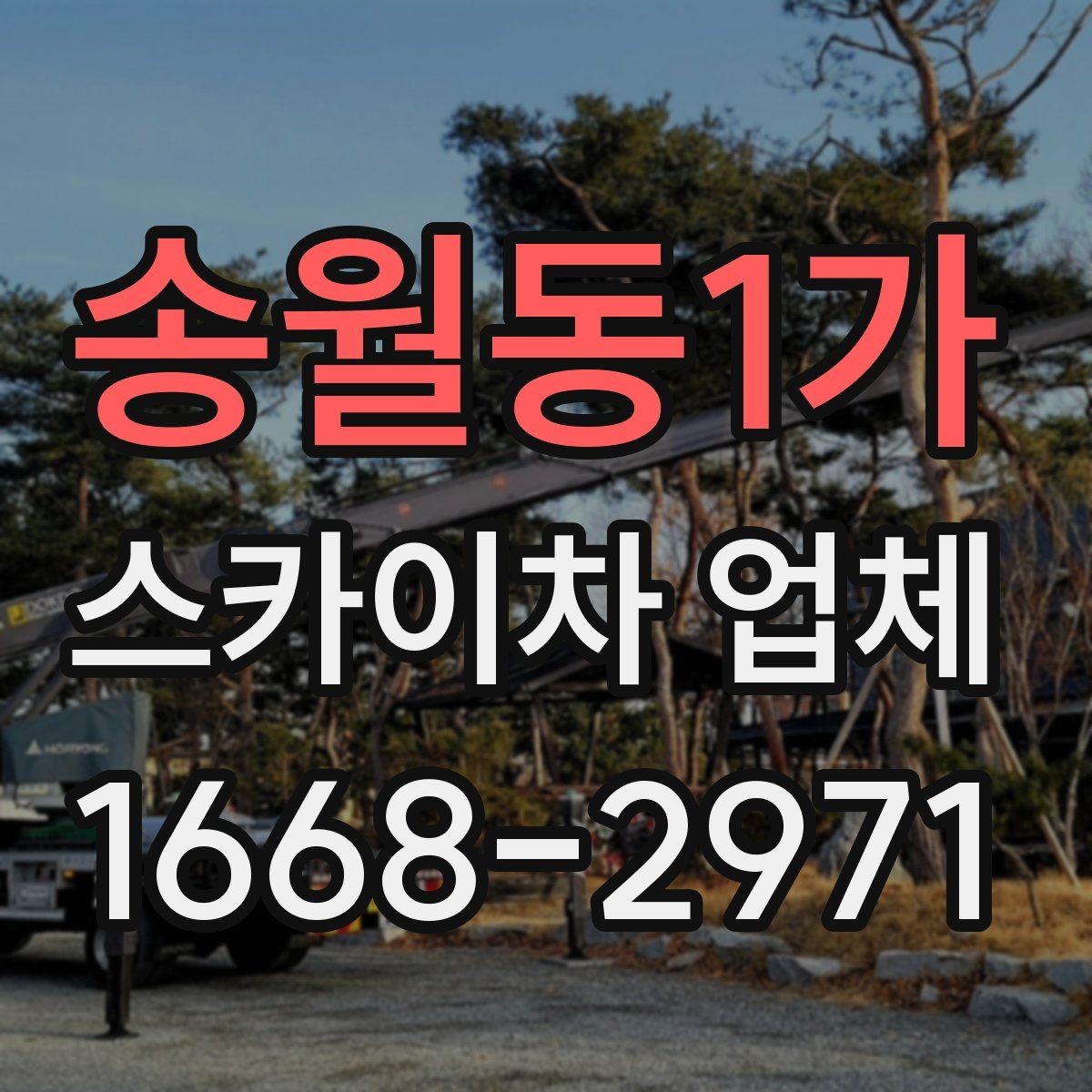 송월동1가 스카이차 업체 예약 전에 체크할 사항