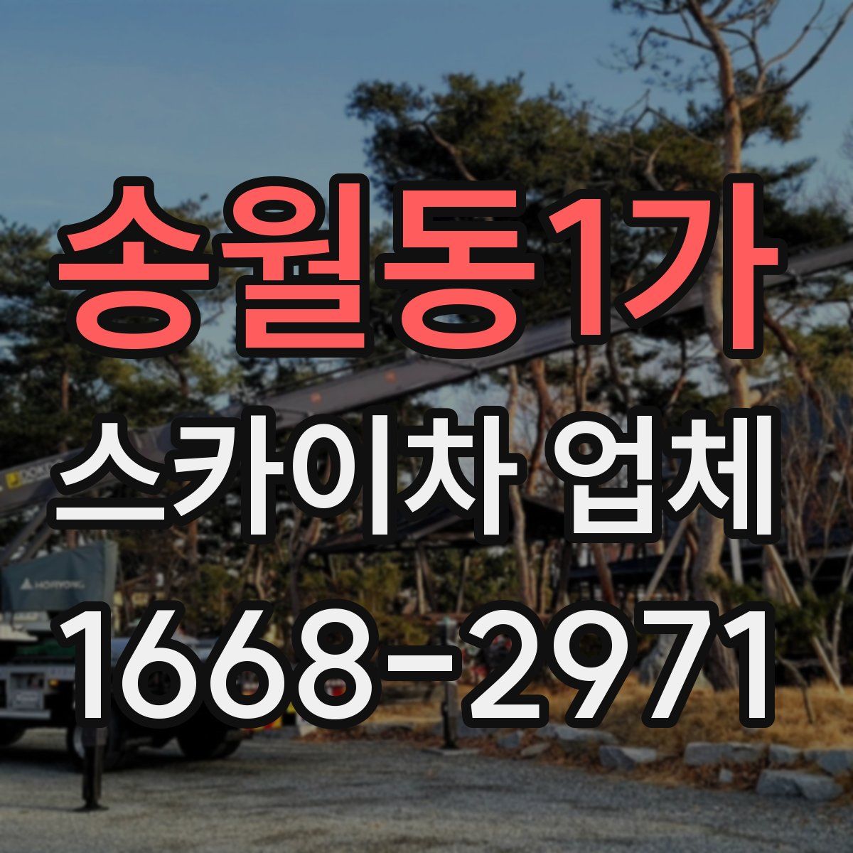송월동1가 스카이차 업체