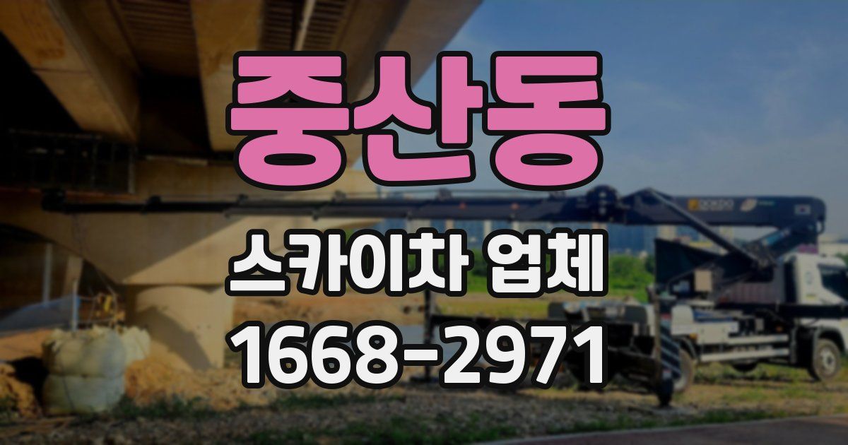 중산동 스카이차 업체