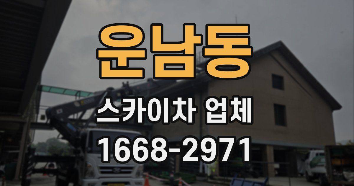 운남동 스카이차 업체