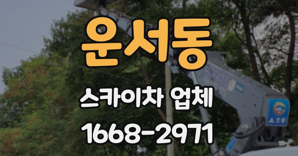 운서동 스카이차 업체