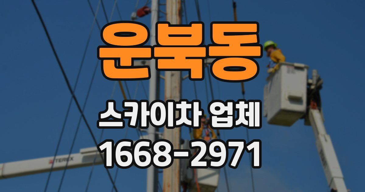 운북동 스카이차 업체