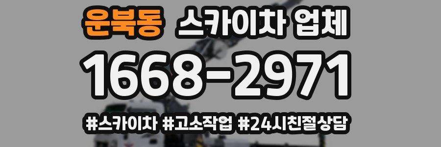 운북동 스카이차 업체