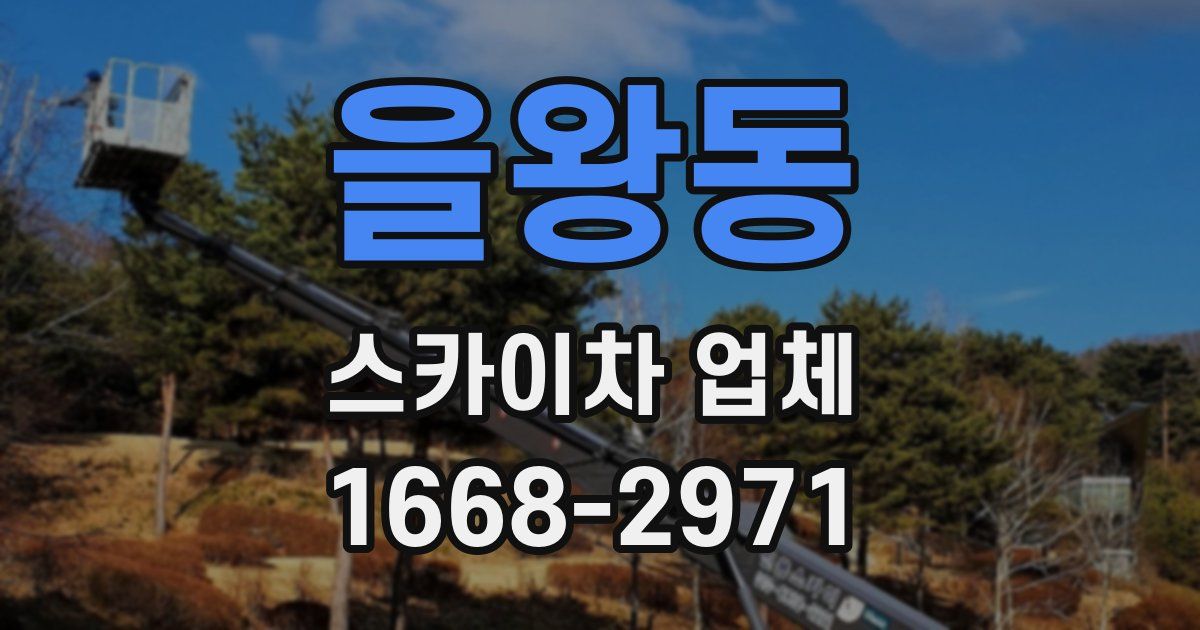 을왕동 스카이차 업체