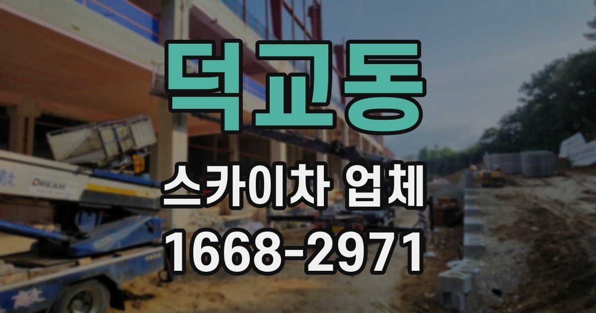 덕교동 스카이차 업체