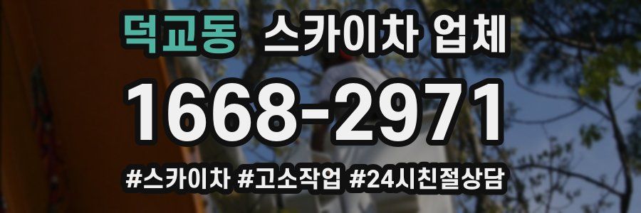 덕교동 스카이차 업체