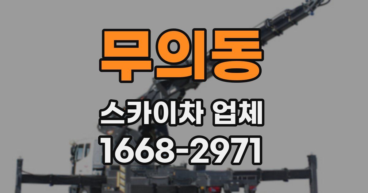 무의동 스카이차 업체