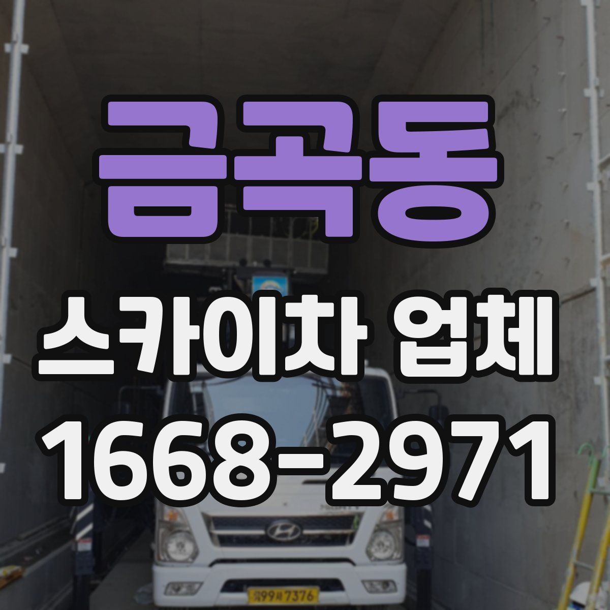 금곡동 스카이차 업체