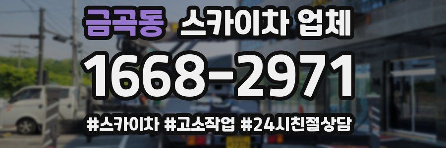 금곡동 스카이차 업체