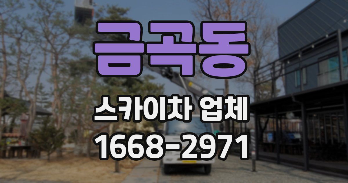 금곡동 스카이차 업체