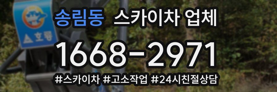 송림동 스카이차 업체