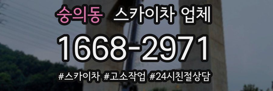 숭의동 스카이차 업체