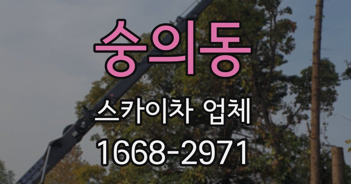 숭의동 스카이차 업체