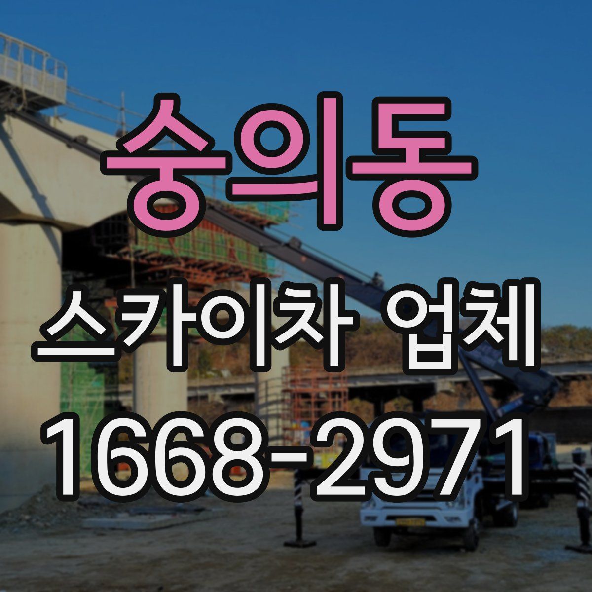 숭의동 스카이차 업체