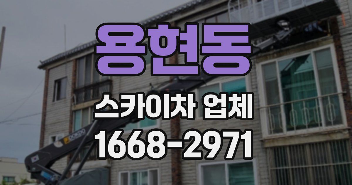 용현동 스카이차 업체
