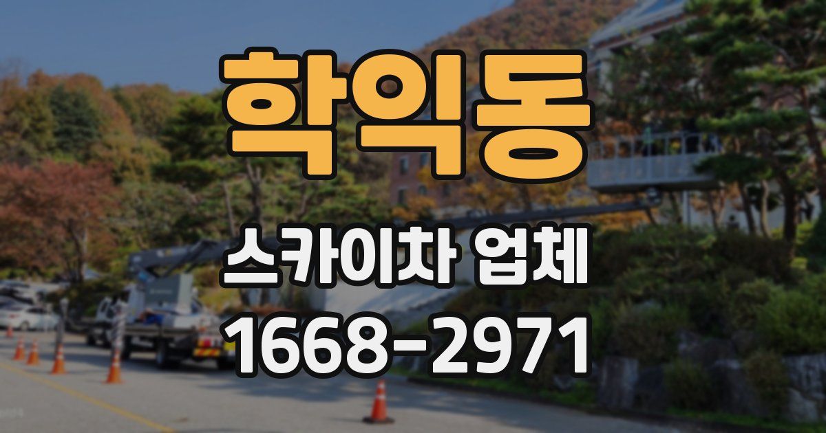 학익동 스카이차 업체