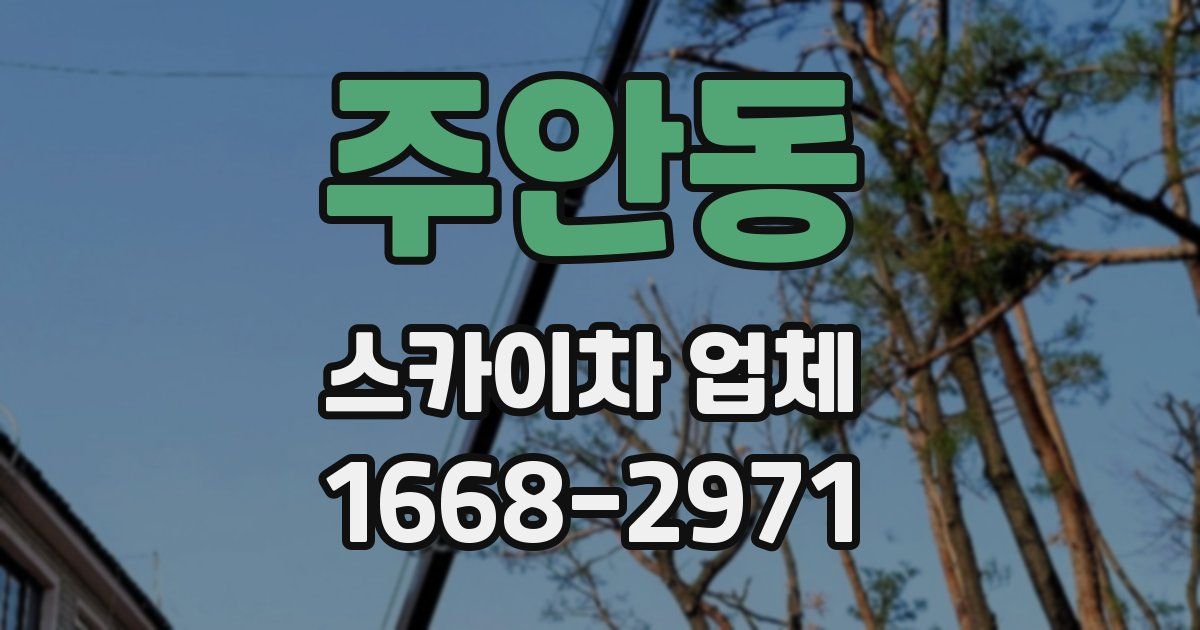 주안동 스카이차 업체