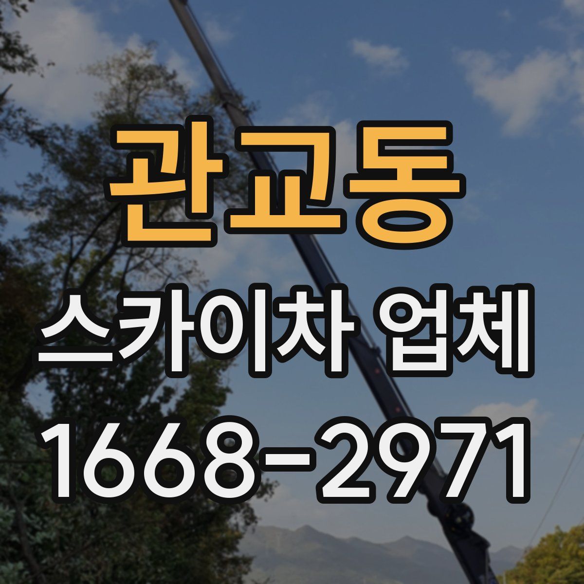 관교동 스카이차 업체
