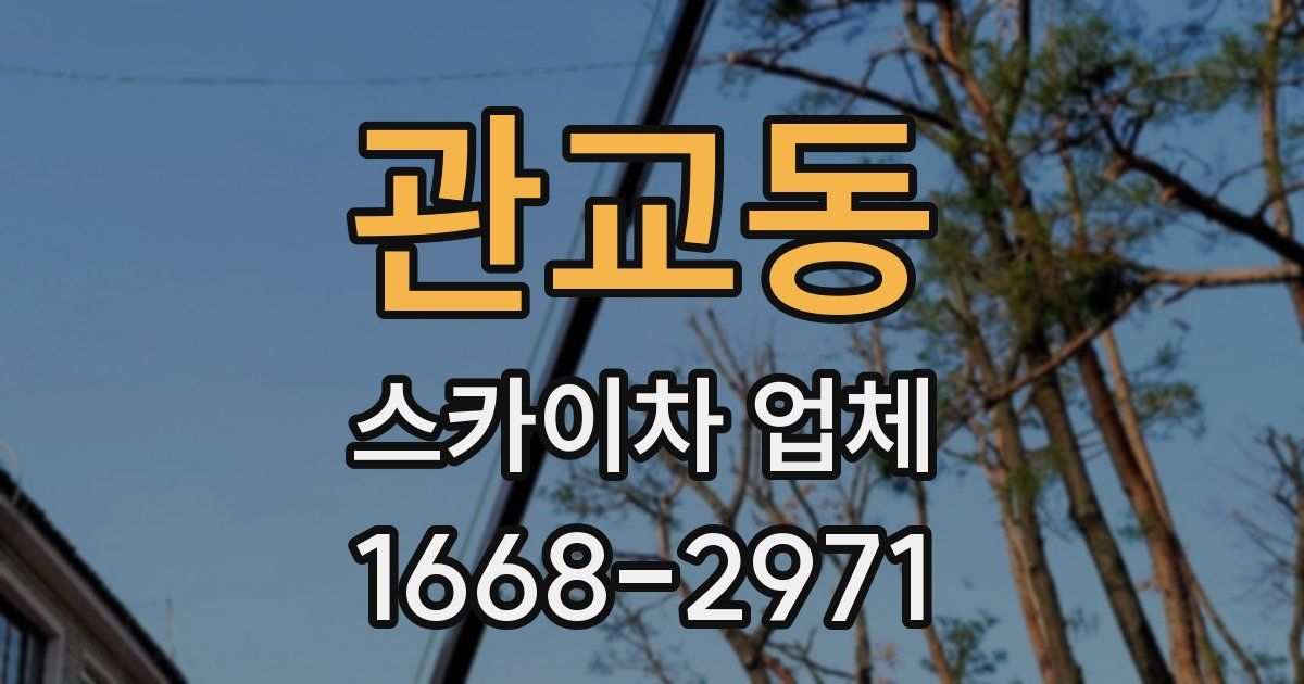 관교동 스카이차 업체