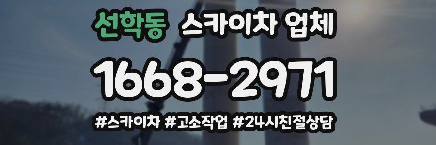 선학동 스카이차 업체
