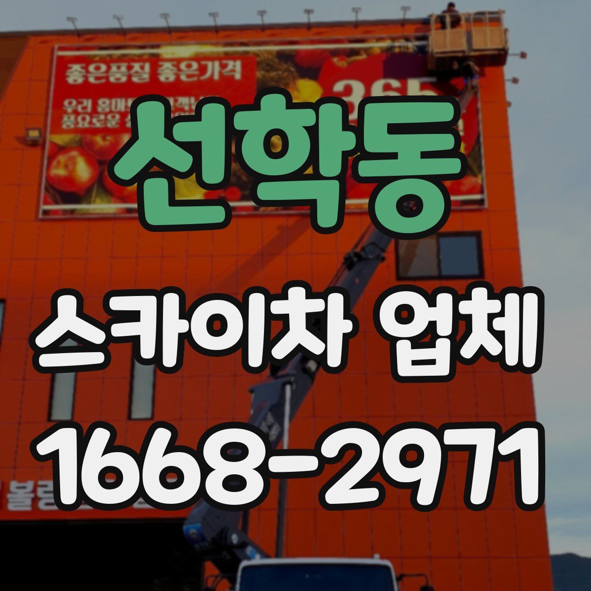 선학동 스카이차 업체