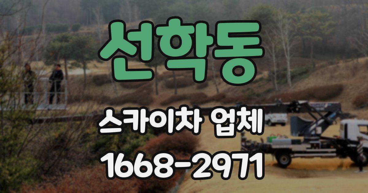 선학동 스카이차 업체