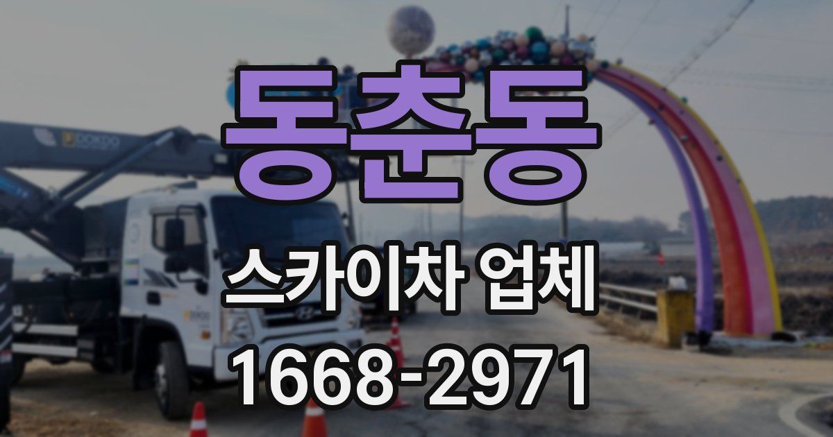 동춘동 스카이차 업체