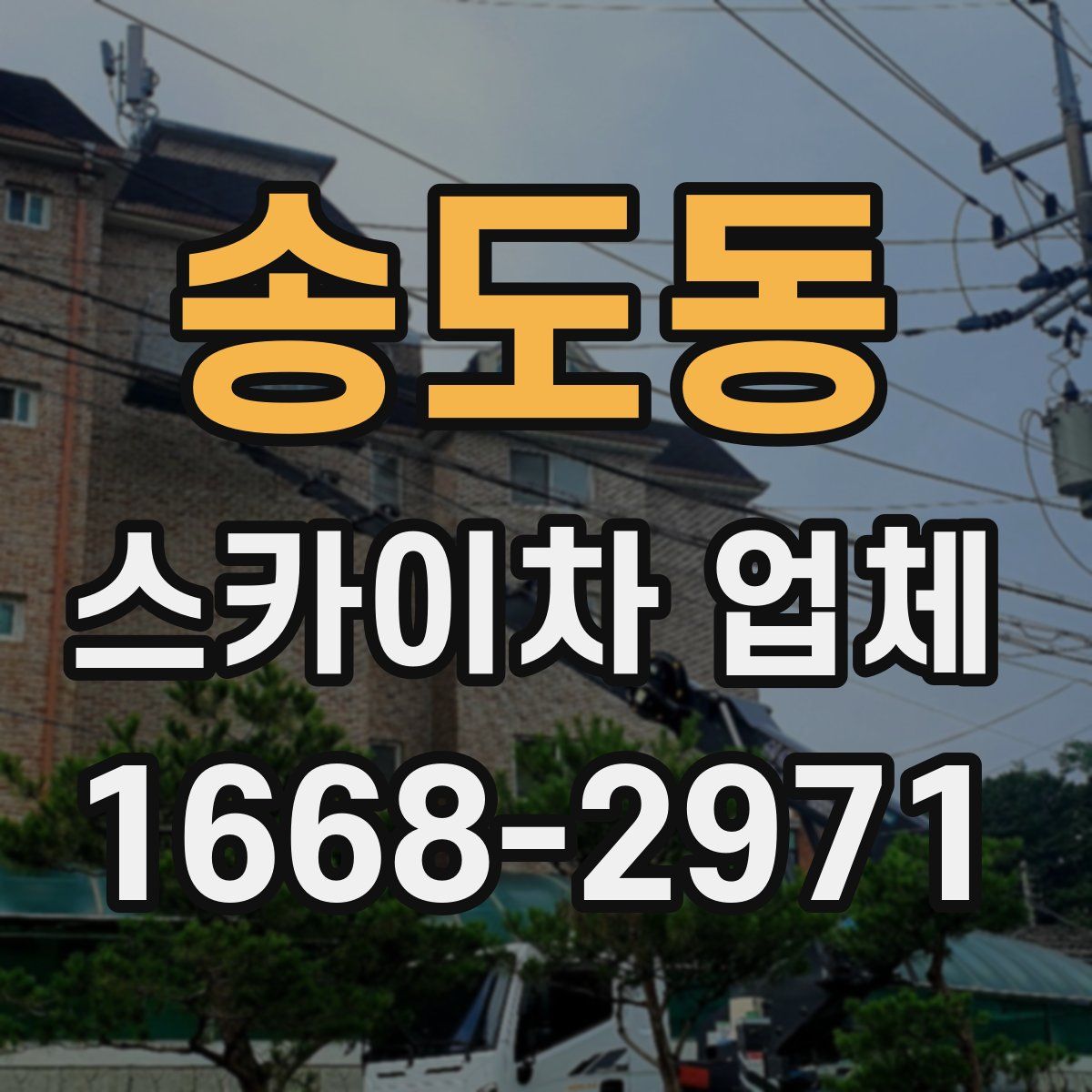 송도동 스카이차 업체