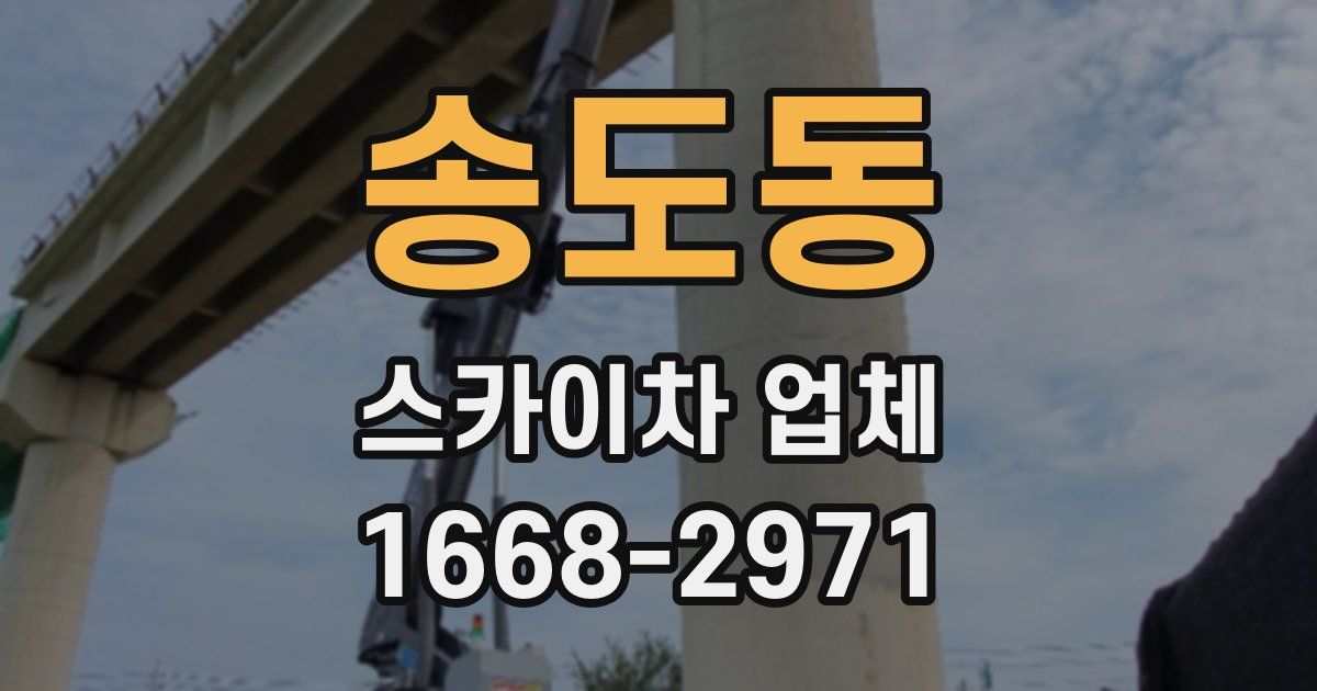 송도동 스카이차 업체