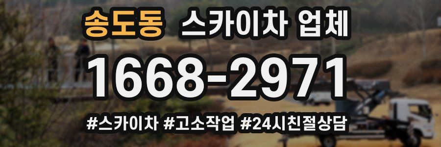 송도동 스카이차 업체