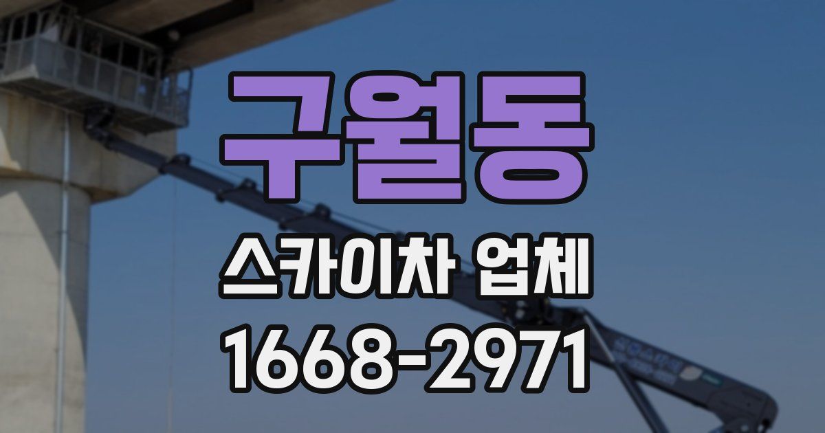 구월동 스카이차 업체