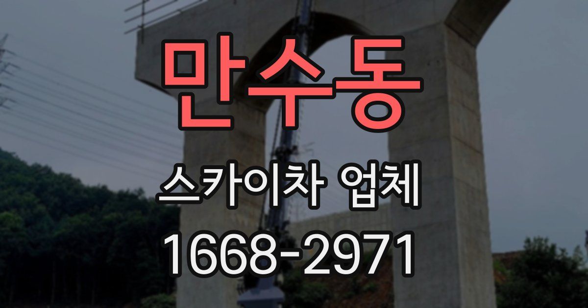 만수동 스카이차 업체