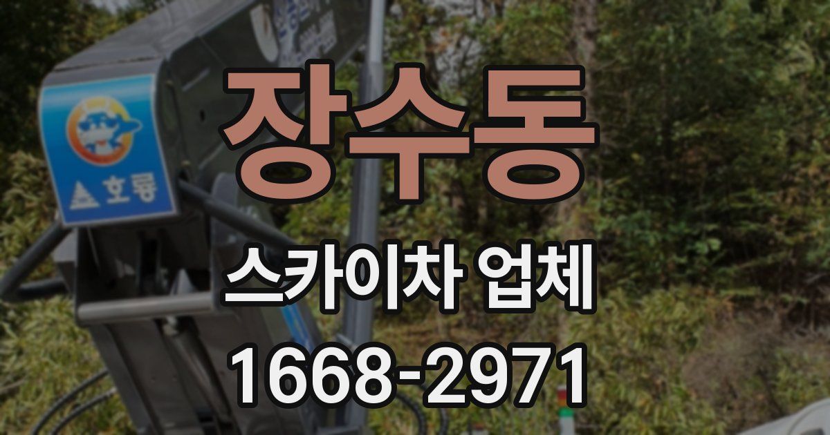 장수동 스카이차 업체