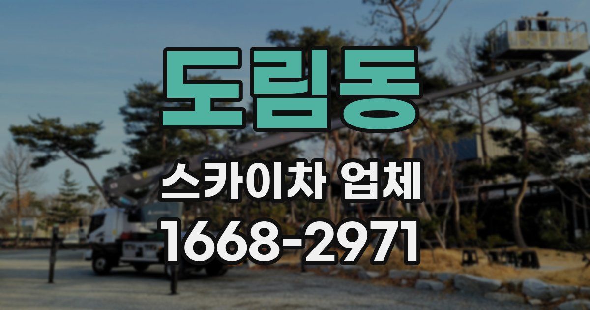 도림동 스카이차 업체