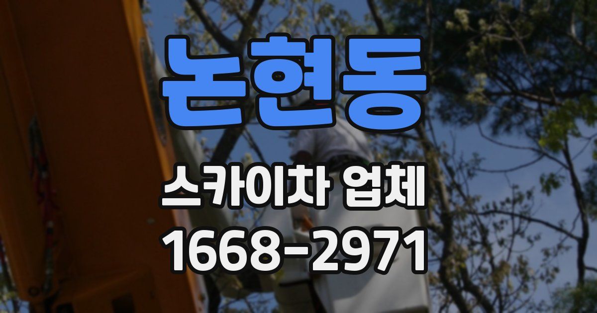 논현동 스카이차 업체