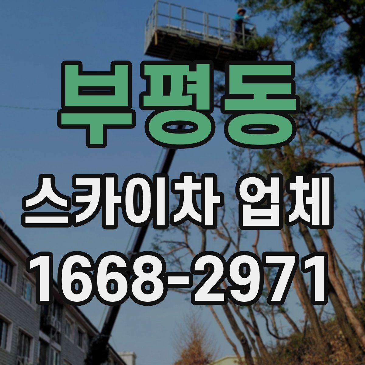 부평동 스카이차 업체