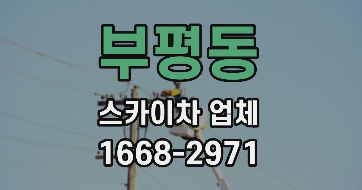 부평동 스카이차 업체