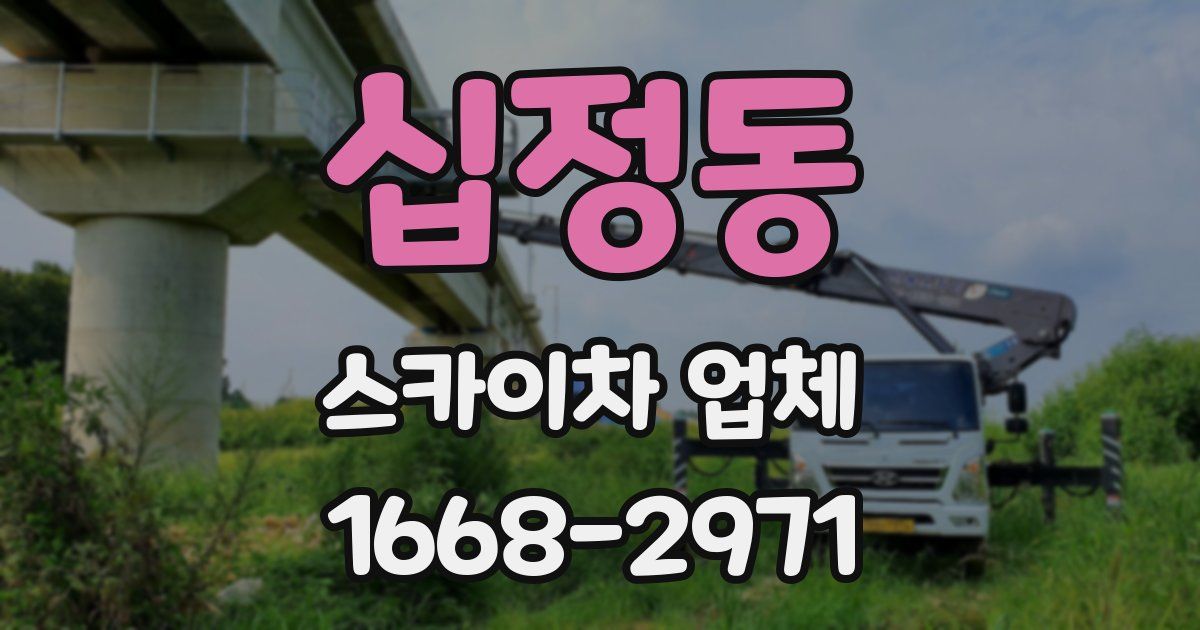 십정동 스카이차 업체