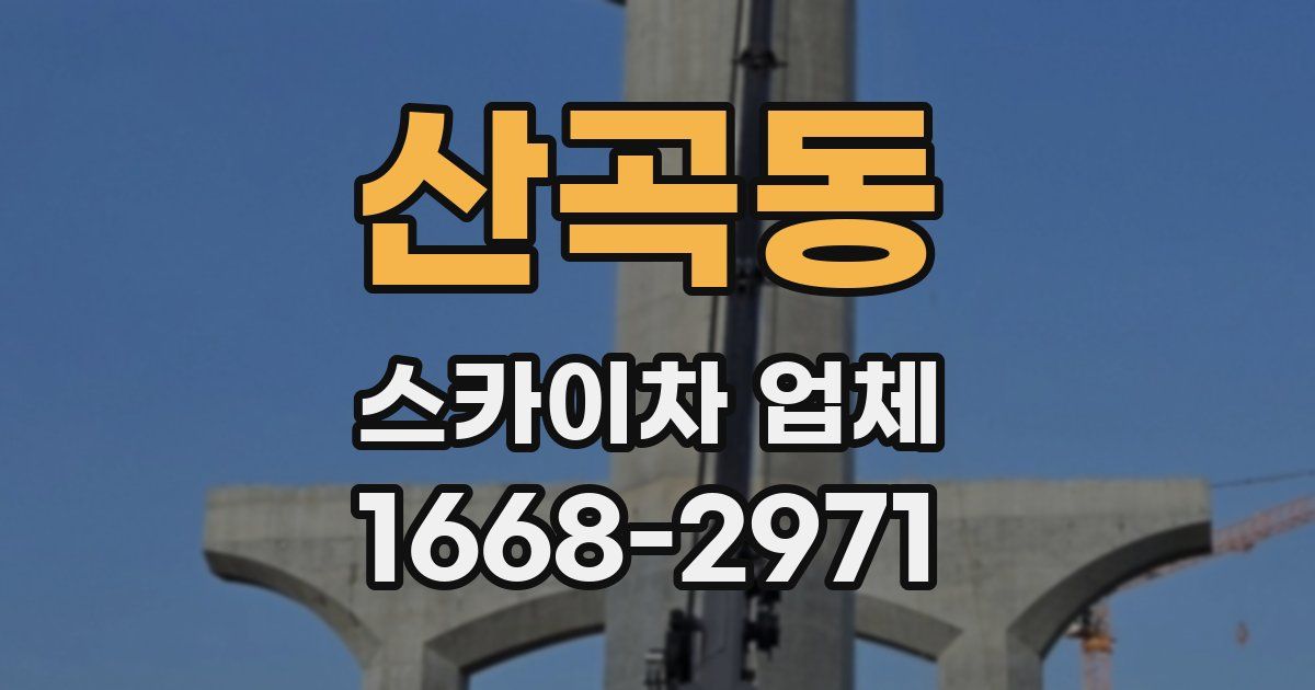 산곡동 스카이차 업체