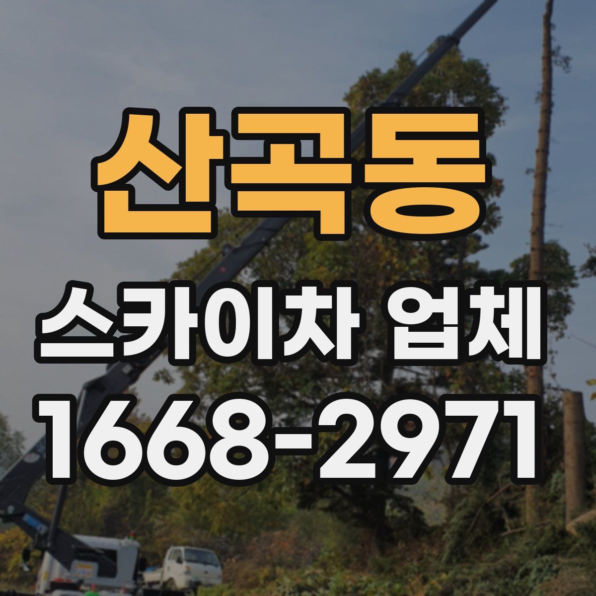 산곡동 스카이차 업체