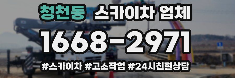청천동 스카이차 업체