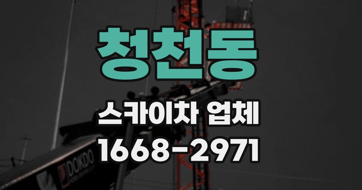 청천동 스카이차 업체