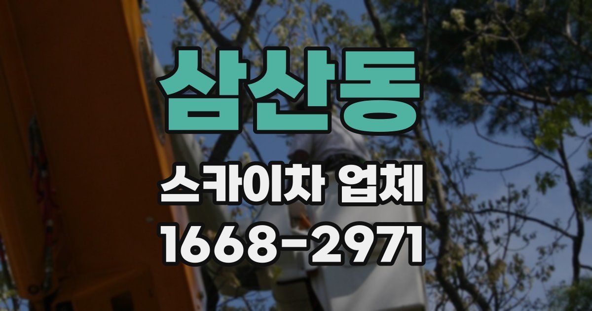 삼산동 스카이차 업체