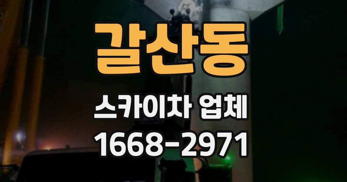 갈산동 스카이차 업체