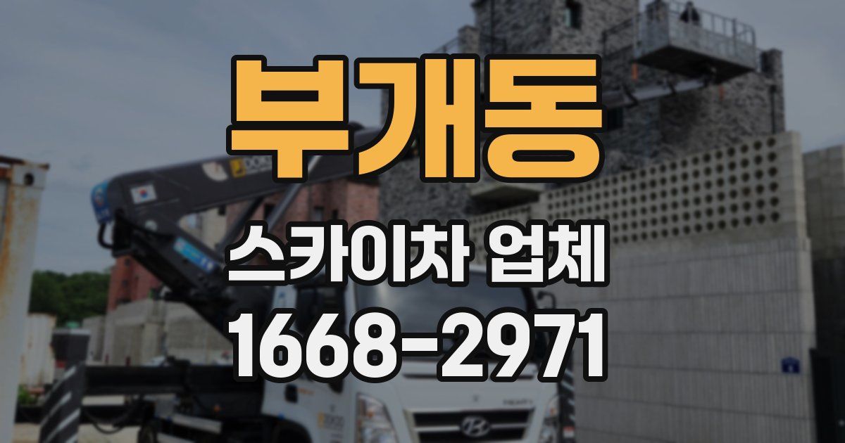 부개동 스카이차 업체