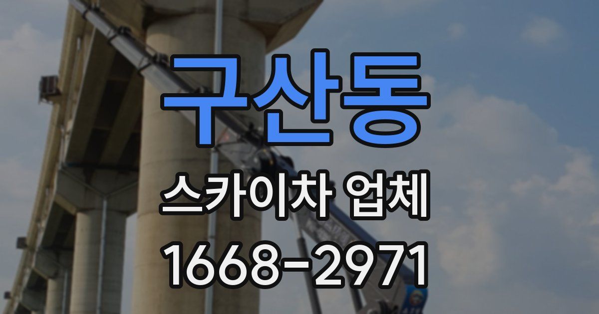 구산동 스카이차 업체