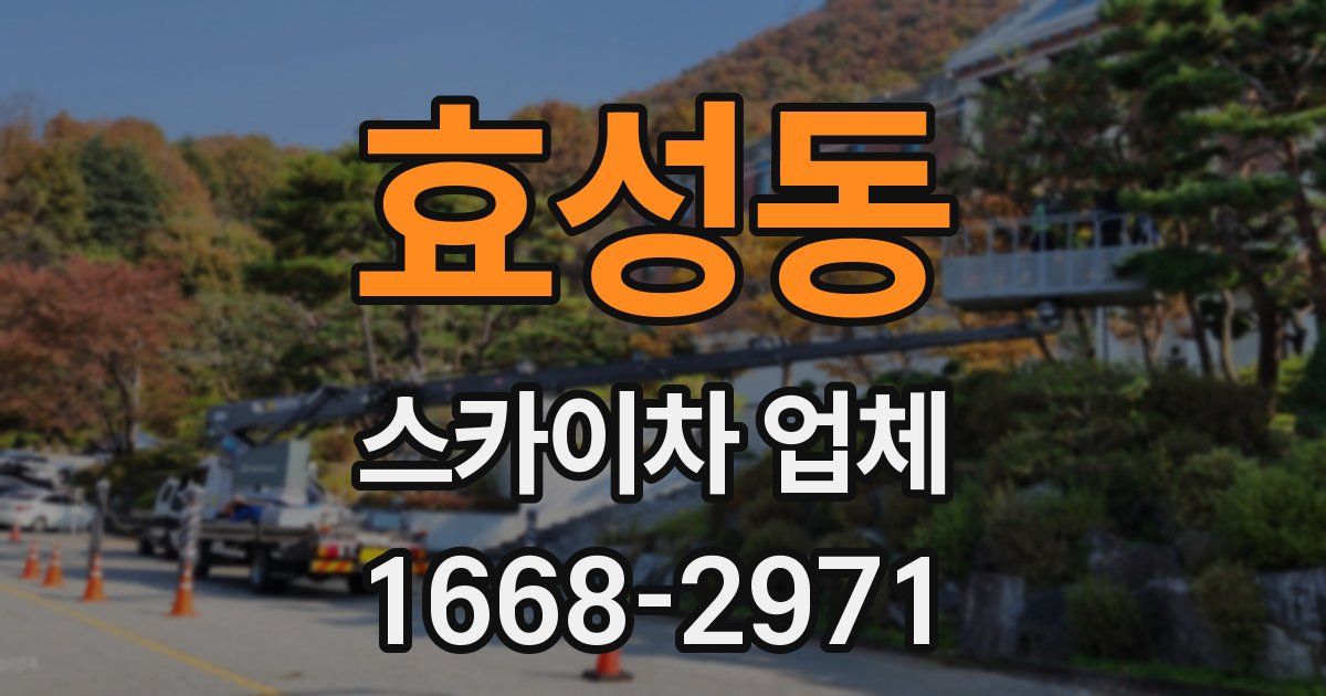 효성동 스카이차 업체