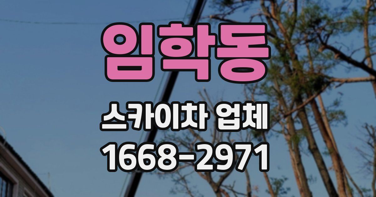 임학동 스카이차 업체