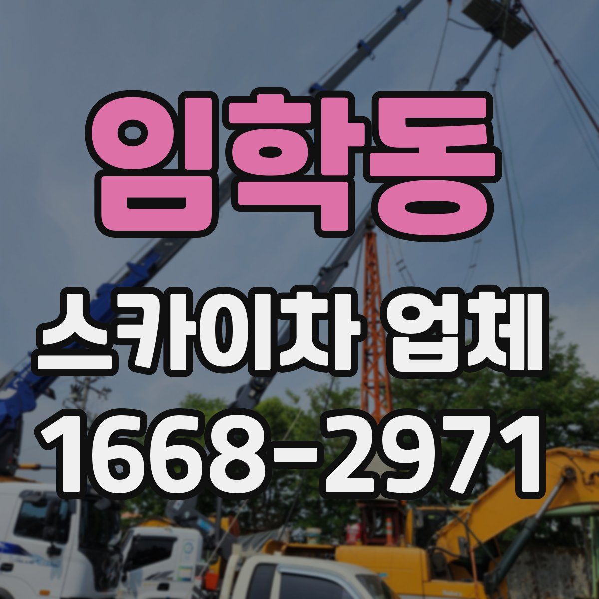 임학동 스카이차 업체