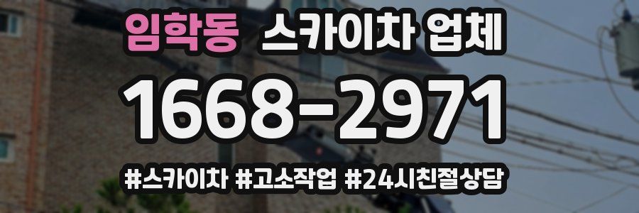 임학동 스카이차 업체